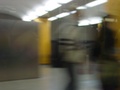 dsc01378.jpg