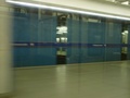 dsc01401.jpg