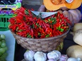 dsc01135.jpg