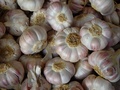 dsc01136.jpg