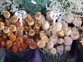 dsc01147.jpg
