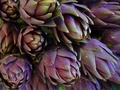 dsc01156.jpg