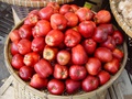 dsc01167.jpg