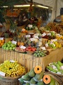 dsc01170.jpg