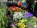 dsc00471.jpg