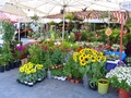 dsc00472.jpg