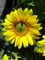 dsc00475.jpg