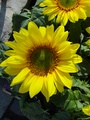dsc00476.jpg