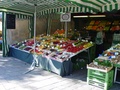 dsc00483.jpg
