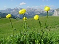 dsc00215.jpg