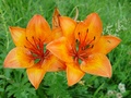 dsc00283.jpg