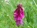 dsc00317.jpg