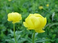dsc00344.jpg