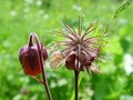 dsc00458.jpg