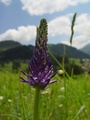 dsc00476.jpg
