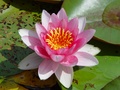 dsc00981.jpg