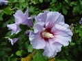 dsc01032.jpg