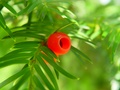 dsc01055.jpg