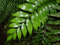 dsc00386.jpg