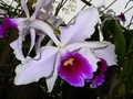 dsc00394.jpg