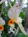 dsc00397.jpg
