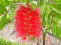 dsc00401.jpg
