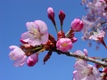 dsc02883.jpg