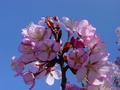 dsc02884.jpg