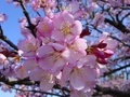 dsc02887.jpg