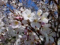 dsc02888.jpg