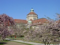 dsc02903.jpg