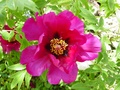 dsc00092.jpg