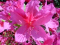 dsc00097.jpg