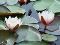 dsc04567.jpg