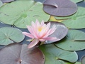 dsc04568.jpg