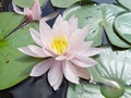 dsc04570.jpg