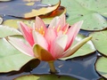 dsc04576.jpg