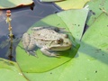 dsc04579.jpg