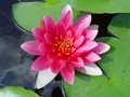 dsc04589.jpg