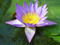 dsc04677.jpg