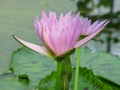 dsc04683.jpg