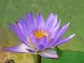 dsc04685.jpg
