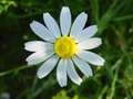 dsc00296.jpg
