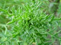 dsc00304.jpg