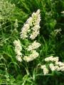 dsc00316.jpg