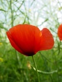 dsc00324.jpg