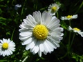 dsc00062.jpg