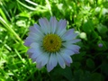 dsc00064.jpg