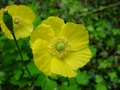 dsc00123.jpg