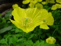 dsc00126.jpg